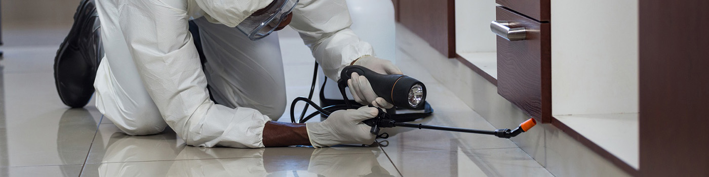 What can you expect from a pest control company?